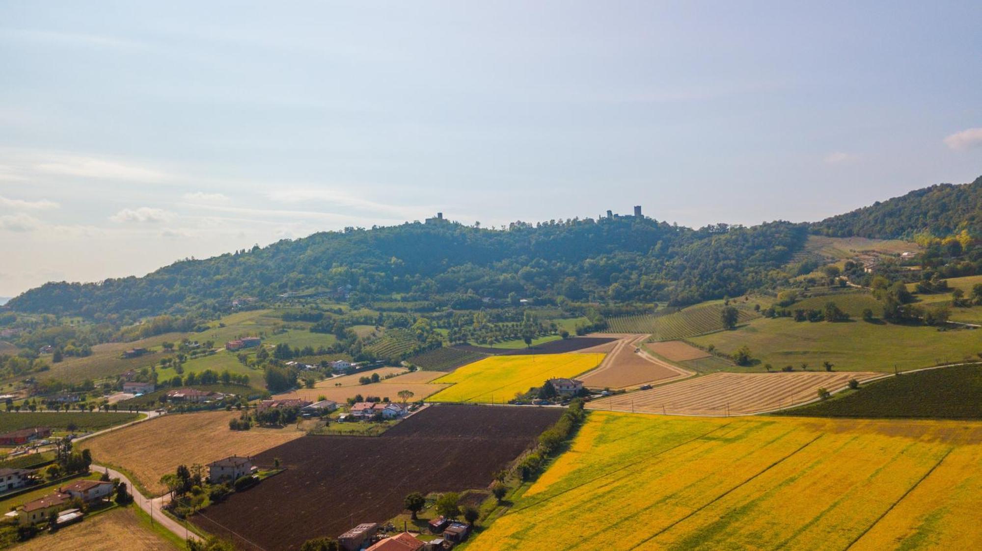 Agriturismo Riva Ratta Montecchio Maggiore Esterno foto